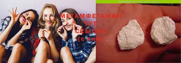 прущая мука Вяземский