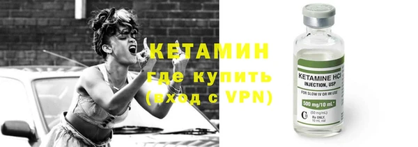 прущая мука Вяземский
