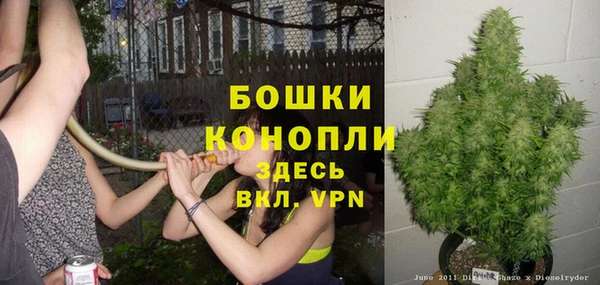 прущая мука Вяземский