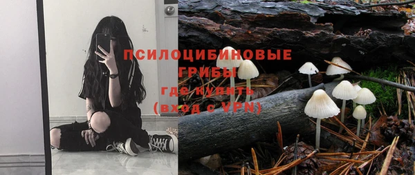 прущая мука Вяземский