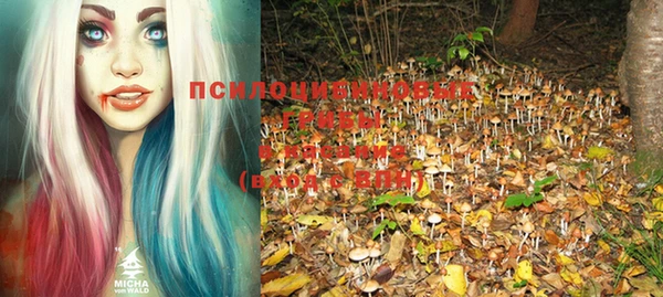соль курить ск Вязьма