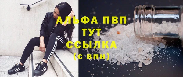 прущая мука Вяземский